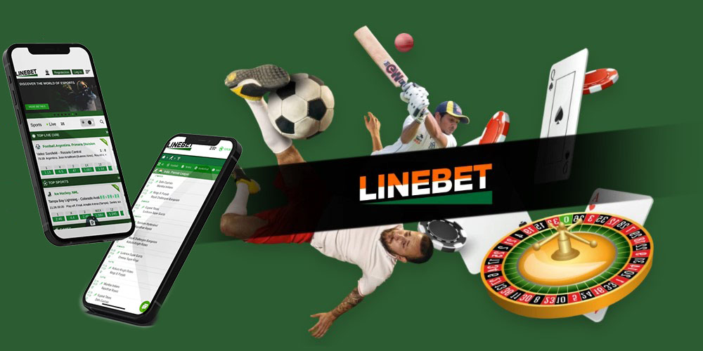 Review of Linebet bookie